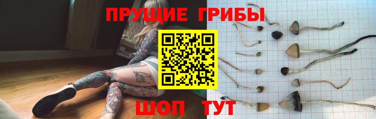 Искитим  Галлюциногенные грибы мухоморы  Вход с VPN 